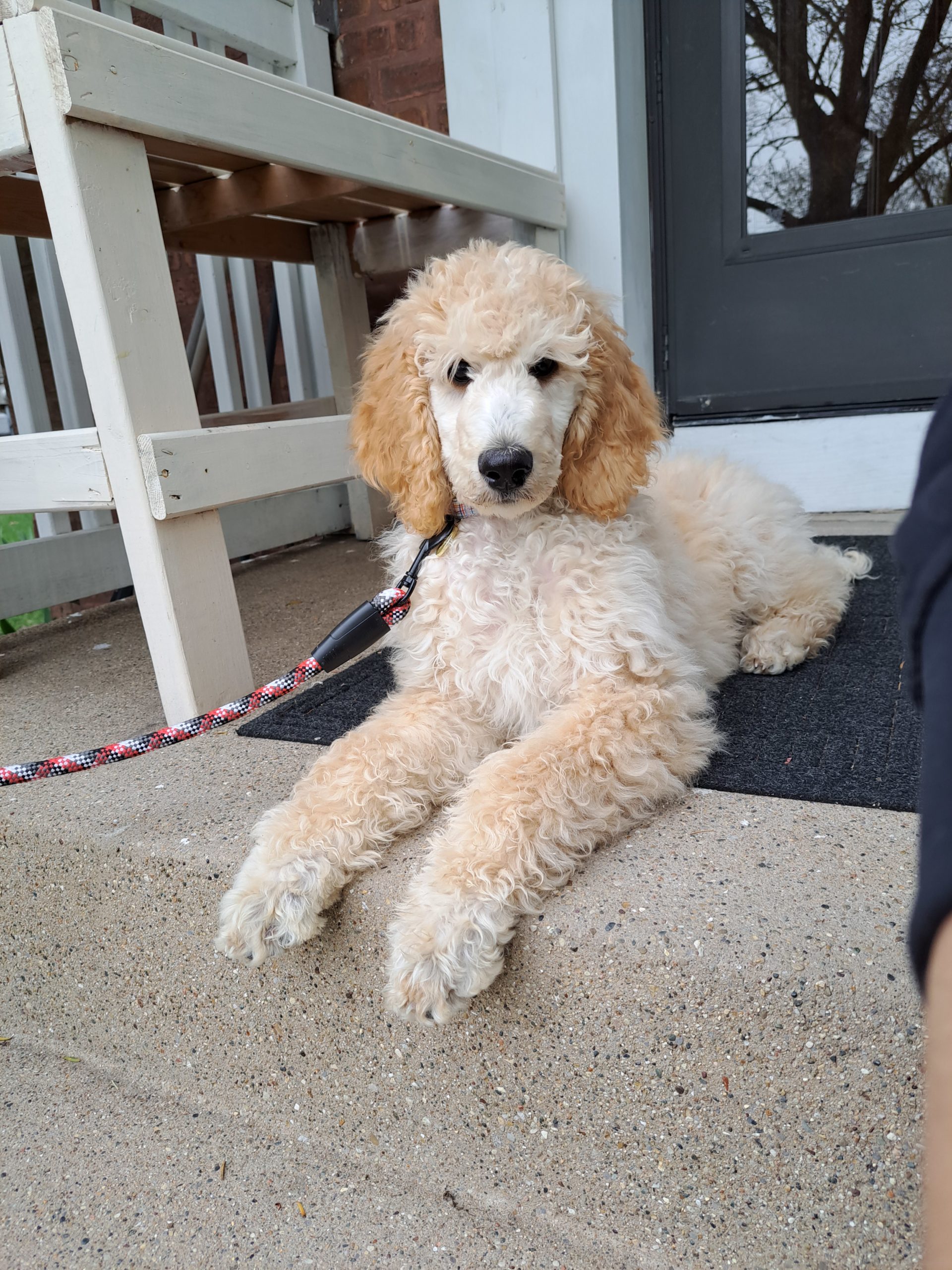 Luna June 2023 2